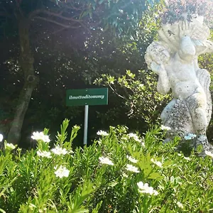 https://il-motto-di-tommy.it-lombardy.com